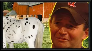 Lorne, Cas3y, Jamie & The Fly Horse Sh*t - Throuples Therapy (With Slothcat)