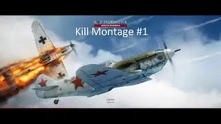IL-2 Sturmovik BoS Kill Montage #1