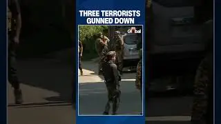 Pulwama Encounter: 3 Jaish Terrorists Killed by Security Forces | #shorts