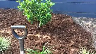 Cypress Blend Garden Mulch