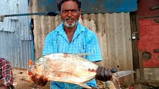 3kg big coconut parai fish cutting by kasimedu fish cutter thandapani