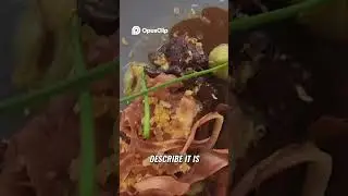 Eating HEART  My Honest Review You Won't Believe This!