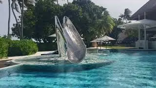 Poolside Chill at W Maldives WET Deck | May 2025 #WMaldives #MaldivesResorts #MaldivesVacation