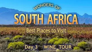 Cape Winelands Tour 🍹 Franschhoek & Stellenbosch Wine Adventure | Gate 1 South Africa Day 3: