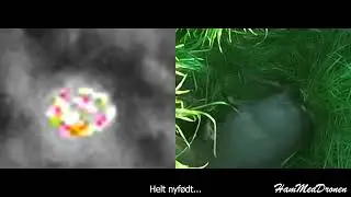 R&aring;lam fundet med drone