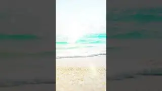 Sunkissed Beach