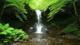 Waterfall ASMR - 3 Hour Loop for Sleep, Relax & Study