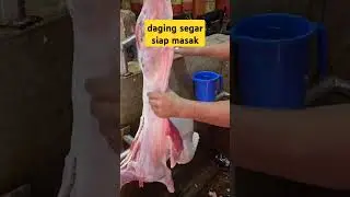 Daging Kambing Semantap Ini Enaknya Dimasak Apa?
