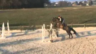 13/03/2016 chatelet 1m10 quiproko de la giraude