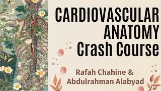 Cardiovascular Anatomy Crash Course | Rafah Chahine & Abdulrahman Alabyad | CVP 112