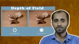 Depth of Field | Basic Photography | Bengali Photography Tutorial Episode - 4