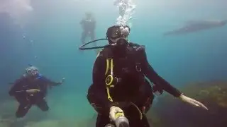 Seals of Montague Island - Narooma NSW - Australia - GoPro Hero4 Silver - Backscatter Flip4 Filters