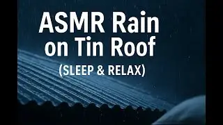 LIVE Heavy Rain on Tin Roof 🌧️ | Deep Sleep Sounds &bull; NO TALKING