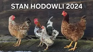 Stan hodowli wrzesień 2024
