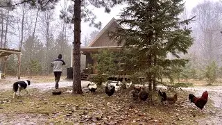 Living Off Grid Full Time: Morning Routine And Merry Christmas To All