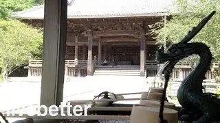 Relaxing Chill out Oriental Music | Japanese Modern Asian Music | Instrumental Ambience Ba