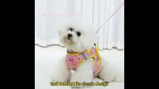Luxury Embroidered Dog Harness with Leash &ndash; OEM/ODM  