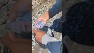 Pipa 🚂 #pipa #viral #pipas #pipacombat #outdooractivity #shortviral #pipacombate