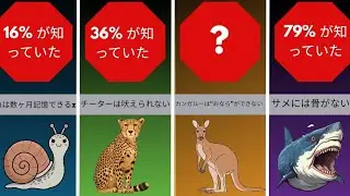 比較：知らない動物の事実（完全版）