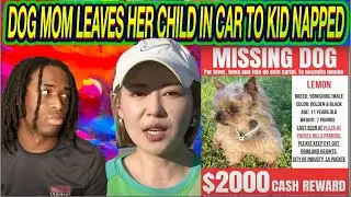 Dog Mom Allows Her Child To Be Kidnapped For Ransom. Tesla 'Dog Mode' Fails Fido