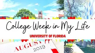 COLLEGE WEEK IN MY LIFE | Florida Laws, Weimer Hall and Taylor Swift | UF