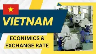 VND Vietnam Economic News Zimbabwe Election Statement