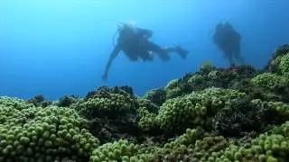 Getting PADI Open Water diver certified at The Dive Bus, Curacao