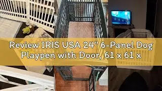 Review IRIS USA 24