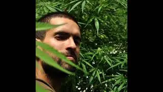 Cosa buena - Marmota
