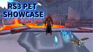 Pets That I Have Acquired While Playing RuneScape || RS3 ||