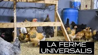 Ferme Universalis: L'&eacute;levage de la volaille / Les mains dans la Terre - HS