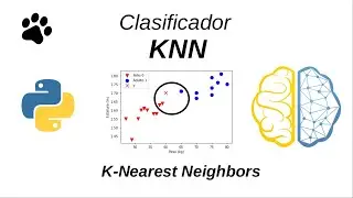Clasificador KNN | Machine Learning | Aprendizaje Automático | Python