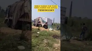andhra pradesh fish packing #fish#freshwaterfish #viralvideo #fish #fishspecies #andhrapradesh