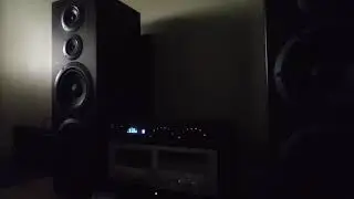 NAD302 + Pioneer SD99 Speaker