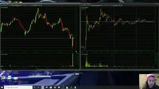PTGX Low Hanging Fruit & Determining Which Lines To Use [PREVIEW]