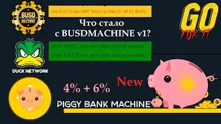 Сколько я заработал в Busd Machine v1, BusdMachine v2, DuckNetwork, и новый Piggy Bank Machine