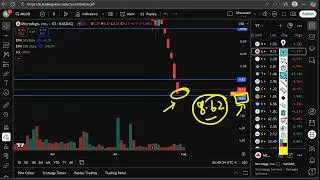MLGO Stock: (MicroAlgo stock) MLGO STOCK PREDICTIONS MLGO STOCK Analysis MLGO stock news today