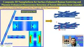 Composite 3D nanoplatform surface  enhanced Raman scattering and plasmon enhanced fluorescence det