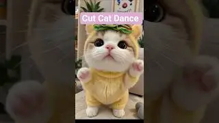 Cute pet Dance #petlover #cat #pets #pet #shorts #shortvideo