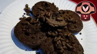 [Pre-Stream] Talking more about Cookie Dookies