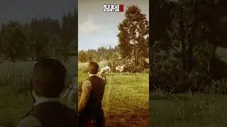 Wanted Theme Black Water in Action 😵Red Dead Redemption 2