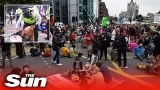 Extinction Rebellion activists cause chaos as they block London's Tower Bridge and lie in the road