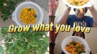 GROW WHAT YOU LOVE. EAT WHAT YOU GROW. #growthmindset #growagarden #grow and eat wisely.