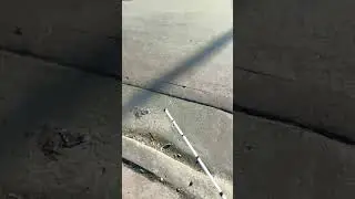 New Slimeline Cane