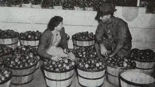 Kimmel Orchard and Vineyard celebrates a century of growth in Nebraska City