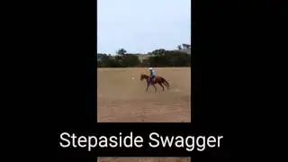 Stepaside Swagger new video