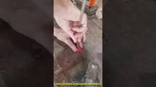 Regador Super simples Para Plantas No Alto Utilizando Dois Materiais #shorts