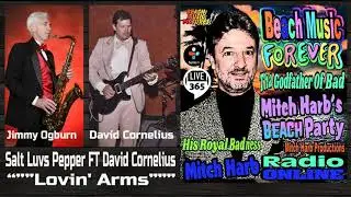 Salt Luvs Pepper FT David Cornelius - Lovin' Arms