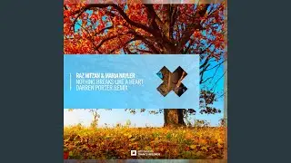 Nothing Breaks Like A Heart (Darren Porter Extended Mix)
