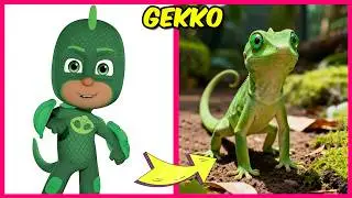 Персонажи PJ Masks в образе питомцев + реальное испытание! | Гекко, Кэтбой, Сова, Ночной ниндзя, ...